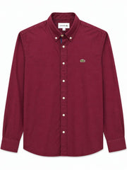 SHIRT LACOSTE BASIC